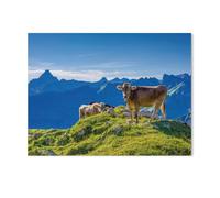 GSBRSNTS peinture par numero adulte Cadeau de Peinture à l'huile de Bricolage numérique,Roux de l'Allgäu,pour Enfants Adultes Peindre par Nombre Kits Home Decor(30x40cm-AE7