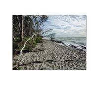 GSBRSNTS Peinture par Numero pour Enfants,Spectacle naturel : Darßer Weststrand,DIY Peinture à l'huile Peindre par Nombre Kits sur Toile à Faire soi-même avec Pinceaux(50x60cm-AF58