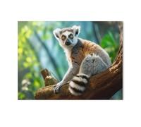 GSBRSNTS Peinture Par Numéros Pour Adultes Débutants,Katta Lemur,Kits De Peinture À L'Huile Numérique Bricolage Sur Toile Avec Pinceaux Et Pigments Acryliques(30x40cm-AF78