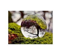 GSBRSNTS Peinture Par Numéros Pour Adultes Débutants,Merveilleuses boules de forêt,Kits De Peinture À L'Huile Numérique Bricolage Sur Toile Avec Pinceaux Et Pigments Acryliques(20x30cm-AH94