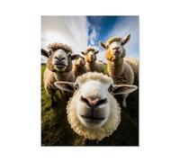 GSBRSNTS Peinture Par Numéros Pour Adultes Débutants,Moutons,Kits De Peinture À L'Huile Numérique Bricolage Sur Toile Avec Pinceaux Et Pigments Acryliques(20x30cm-AG2