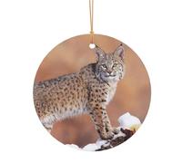 GSGCSBYMLG Canada Lynx Pendentif rond en aluminium imprimé pour sapin de Noël