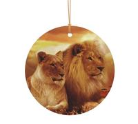 GSGCSBYMLG Pendentif rond en aluminium imprimé lion africain et lionne pour sapin de Noël