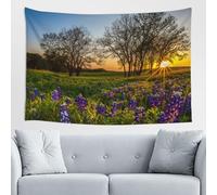 GSGCSBYMLG Tapisserie imprimée lavande prairie au coucher du soleil printanier 152,4 x 101,6 cm Tapisserie esthétique décoration d'intérieur