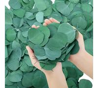 GSHLLO Lot de 200 feuilles d'eucalyptus séchées véritables - Petites feuilles d'eucalyptus décoratives pour table de mariage - Feuilles d'eucalyptus naturelles en vrac - Pour fête prénatale