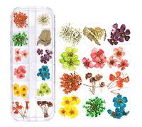 Gshy 12 Couleurs 3D Fleurs Séchées Nail Décoration De Roue Art Manucure Conception Diy Sèche Nail Art Outils de Bricolage pour Accessoires de Beauté (Cinq pétales)