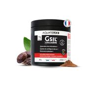 GSIL - Collagène Marin Naticol en Poudre - Articulations, Os, Cartilages & Tendons - Avec Silicium Organique & Vitamine C - Haute Assimilation - Cure 20 jours - Goût Cacao - Fabriqué en France