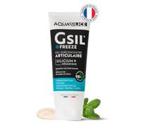 GSIL Gel Surconcentré Articulaire Freeze Tube 200ml