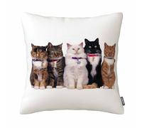 GSRONY Housse de coussin motif chat mignon 45,7 x 45,7 cm, UKPC1-230911-L0090
