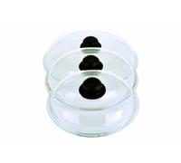 GSW 430012 Couvercle en verre 28 cm