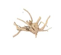 GSXLZ Bois Flotté Branche Tronc d'arbre en Bois flotté, 1 pièce, Micro Paysage, Ornement cylindrique for Aquarium, Racines de Coucou, Bois Mort(20-25cm)