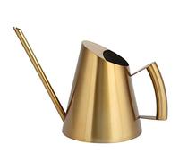 Gsycle Arrosoir, Arrosoir en Acier Inoxydable, Arrosoir pour Plantes, Arrosoir D'intérieur, Arrosoir D'intérieur à Long Bec pour Plantes D'intérieur(1500ML)