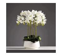 GSZCCZS 3/6/10 têtes Orchidées artificielles Plantes en Pot Blanc pour décoration réel Touch Faux phalaenopsis bonsaï Arrangements pour la Maison/la fête parlous/Mariage