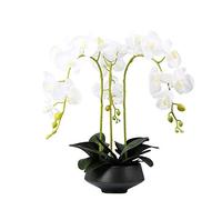 GSZCCZS 3 têtes Fleurs d'orchidées artificielles Blanches avec Vase Noir Ensemble Plant de Fleurs de Soie truquée phalaenopsis Blanc Artificiel pour décoration intérieure, 21,7 "H Table de Table de