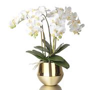 GSZCCZS 4 têtes Fleurs d'orchidées artificielles Blanches avec Vase doré Ensemble Plant de Fleurs de Soie truquée phalaenopsis Blanc Artificiel pour décoration intérieure, 21,7 "H Table de Table de