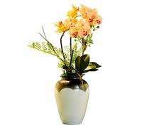 GSZCCZS Ensemble de Fleurs artificielles décoration de décoration de décoration de décoration de décoration de décoration de décoration de Table de Maison d'orchidées artificielles en Pot Artificiel