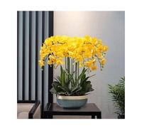 GSZCCZS Fausses Fleurs artificielles orchidées avec Pot en céramique, Silk Fausse Plante phalaenopsis Arrangement de Fleurs Table centrales décoration intérieure décoration