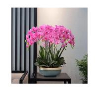 GSZCCZS Fausses Fleurs artificielles orchidées avec Pot en céramique, Silk Fausse Plante phalaenopsis Arrangement de Fleurs Table centrales décoration intérieure décoration
