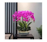 GSZCCZS Fausses Fleurs artificielles orchidées avec Pot en céramique, Silk Fausse Plante phalaenopsis Arrangement de Fleurs Table centrales décoration intérieure décoration