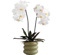 GSZCCZS Fleur d'orchidée Artificielle avec céramique Vase Ensemble de Vase Blanc phalaenopsis Fleur Fausse orchidée flocute Fleurs en Pot Plantes, 23,6 "h Table de Table de Table de Bureau