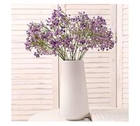 GSZCCZS Fleurs de gypsophile artificielles avec Vase en Plastique Doux Fleur de Fleur de DIY Arrangement de Fleurs pour la Cuisine de Cuisine de Cuisine de Cuisine décor