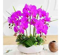GSZCCZS Fleurs d'orchidées artificielles avec Vase, Faux Arrangement d'orchidées en Soie phalaenopsis Arrangement Floral pour décoration de Table de Table de fête pour la Maison pour la Maison de