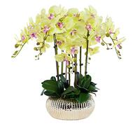 GSZCCZS Lot de fleurs artificielles Phalaenopsis avec pot de fleurs Grande orchidée artificielle dans un vase Faux fleur pour salon Arrangements Décoration Belles fleurs artificielles