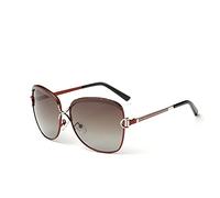 GSZCCZS Nouveau 2025 Grandes Lunettes de Soleil Lunettes de Soleil polarisées Verres de Conduite Verres de Soleil féminité