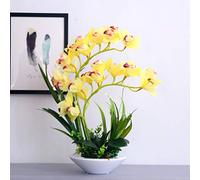 GSZCCZS Orchidées artificielles Fleurs de qualité Vase Vase Vase Fleurs de Fleur Artificielle Ensemble pour la décoration de la Maison pour la Table de Bureau de Table DÉCOR (Couleur: C)