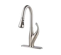 GSZCCZS Robinet de Cuisine en Acier Inoxydable, Bec à Deux Modes, mitigeur de Cuisine, Robinet d'évier extractible (Y40096-1)