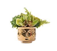 GSZCCZS Vase de Visage Humain créatif Vase Artificiel Green Plant Mini Faux Floral pour Le Bureau à Domicile Décoration de Bureau de l'hôtel pour Table de Bureau de Table de Bureau