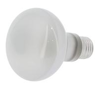 GT CATERING Ampoule pour machine à pop-corn professionnelle