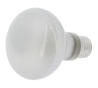 GT CATERING - Ampoule pour machine à pop-corn professionnelle