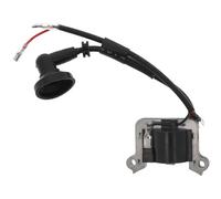 GT Garden Bobine d'allumage pour Pompe à Eau