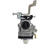 GT Garden Carburateur pour Pompe à Eau