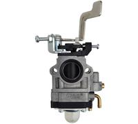 GT Garden Carburateur pour Pompe à Eau