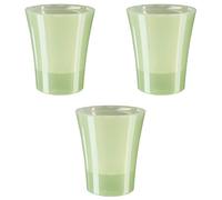 GT Garden Lot de 3 Pots pour orchidées avec réserve d'eau - Arte-dea Vert Clair Transparent 2 litres
