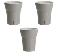 GT GARDEN - Lot de 3 pots pour orchidées avec réserve d'eau - Dali-dea gris clair 2 litres