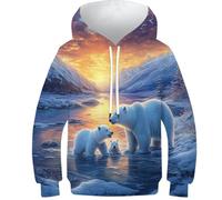 GTDKSUEVG Unisexe Garçons Filles Hoodie Ours Polaire 3D Imprimé Manche Longues Sweatshirts avec des Poches 10-12Y