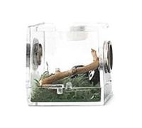 GTFYUDGH 1 boîte d'élevage de Reptiles,Boîtes à Insectes Transparentes - Enceinte Portable pour Reptiles en Acrylique - Conteneur d'élevage avec Trou de Ventilation en métal - pour araignée, lézard,