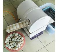 GTHTUHFD Machine À Laver Les Œufs 120W, Machine De Nettoyage Automatique pour Œufs De Poule, Canard Et Oie, Brosseuse À Œufs De Poule.XEMBJ17609