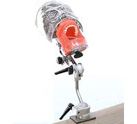 GTHTUHFD Mannequin De Simulation Dentaire pour La Formation, Modèle De Tête Fantôme Dentaire, Modèle De Dent Grandeur Nature pour La Formation des Dentistes, Modèle Dent