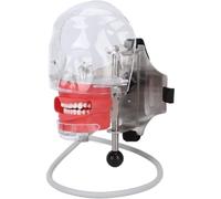 GTHTUHFD Tête De Mannequin D'Entraînement pour Modèle Dentaire, Tête De Simulation Dentaire pour l'enseignement, Utilisée pour Les Démonstrations Pratiques dans Les Écol