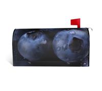 GTKSYNVE Blueberry - Housses magnétiques de boîte aux lettres de taille standard, 64,8 x 53,3 cm, enveloppes décoratives imperméables pour boîte aux lettres personnalisées pour décoration de jardin et