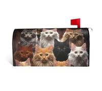 GTKSYNVE Housses magnétiques de boîte aux lettres de collection chat de taille standard, 64,8 x 53,3 cm, enveloppes décoratives imperméables pour boîte aux lettres personnalisées pour décoration de