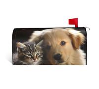 GTKSYNVE Housses magnétiques de boîte aux lettres pour chats et chiens, taille standard, 53,3 x 45,7 cm, enveloppes décoratives imperméables pour boîte aux lettres personnalisées pour décoration de