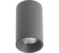 GTV Plafonnier LED Cylindrique PRIME, 10W 1000lm, Lumière Blanche Neutre 4000K, Angle Faisceau 36, Montage en Saillie, Spot Anti-Éblouissement en Aluminium Gris