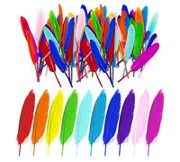 GTYHH 100 Pièces De Plumes Colorées, Plumes pour L'Artisanat, Matériaux De Décoration DIY, Peuvent Être Utilisées pour Fabriquer des Couvre-Chefs, des Pendentifs, des Boucles d'oreilles, Etc.
