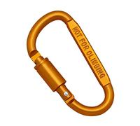 GTYLF Mousquetons d ' à Boucle en Forme de D en Alliage d ' Aluminium, Crochets à pour Le Camping, la randonnée, la pêche, Clip de Verrouillage à Anneau en D