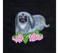 Guadalupe Plata 2017